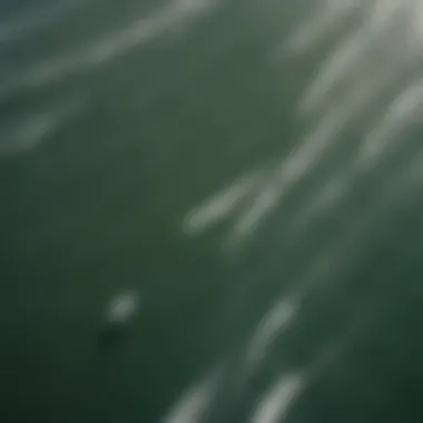 An aerial view of kite surfers gliding across the sparkling waters of Los Angeles.