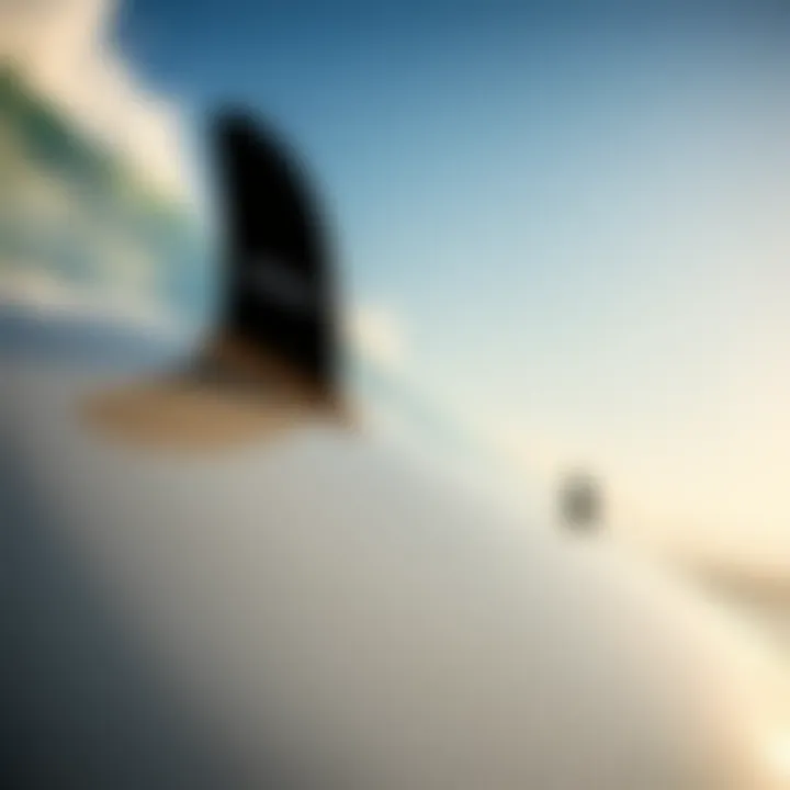 Close-up of Lamiglas Insane surfboard design