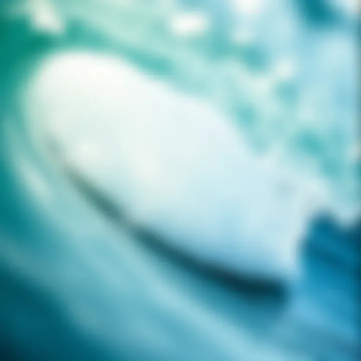 Testimonial from a satisfied user of Lamiglas Insane