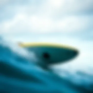 Environmental Impact of Electric Surfboards Environmental impact assessment of electric surfboards