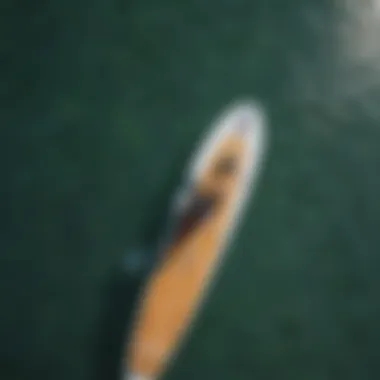 An overhead view of a paddleboarder in a serene environment