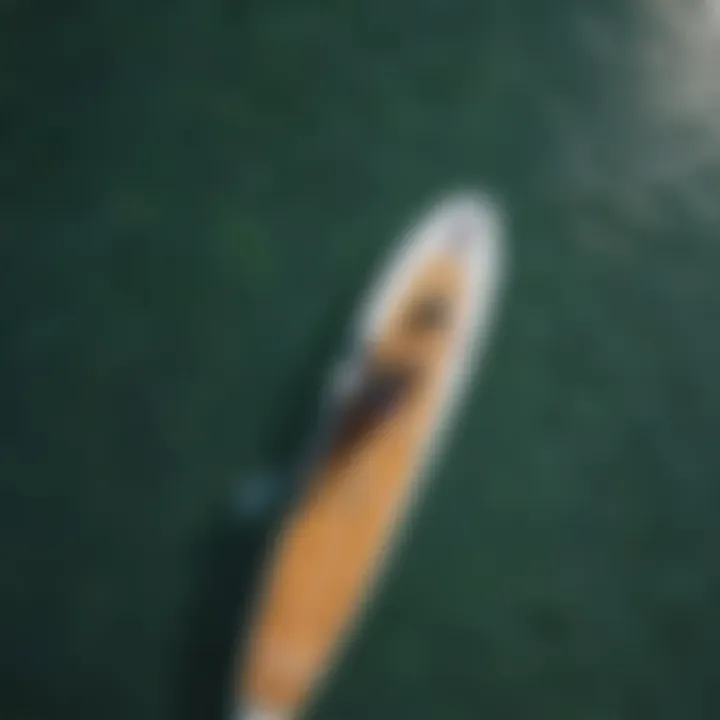 An overhead view of a paddleboarder in a serene environment