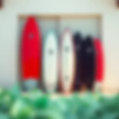 Naish Triad Comparison with Other Surfboards Comparison image displaying the Naish Triad alongside other surfboard models to highlight its versatility.