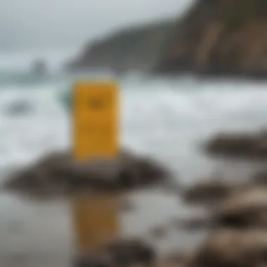 Beachgoers observing the rocky shoreline from a safe distance