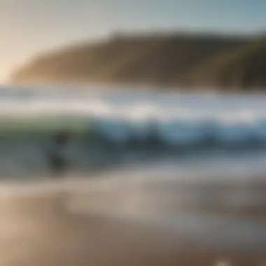 Surfer checking surf conditions on a beach