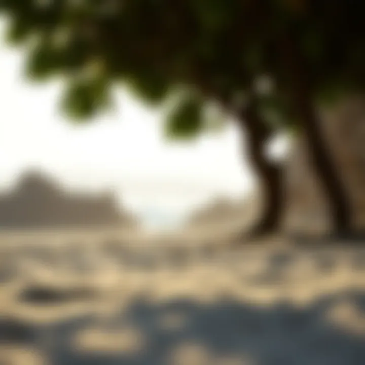 The Intersection of Surf Culture and Environment A scenic beach environment reflecting eco-consciousness