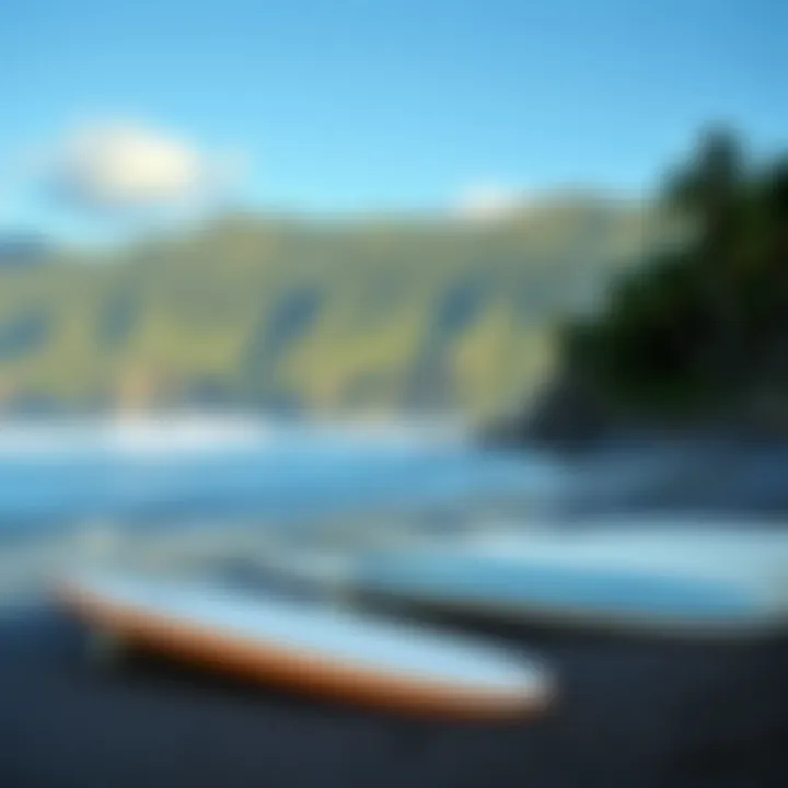 Lush coastline of North Shore with surfboards on the beach