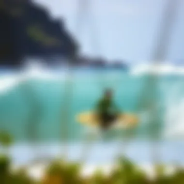 Environmental Conservation at North Shore Conservation efforts at North Shore Surf Beach, showcasing local initiatives to protect the environment.