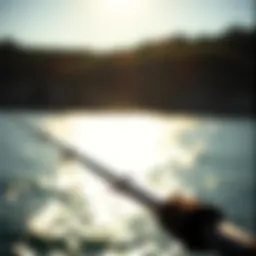 Overview of Okuma Longitude Surf Rods showcasing design and features