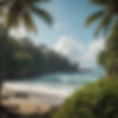 Tranquil Surf Retreat Amidst Nature A picturesque surf retreat in Costa Rica surrounded by lush greenery