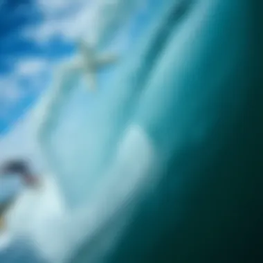 Dynamic Wave Capture Dynamic wave capture using GoPro