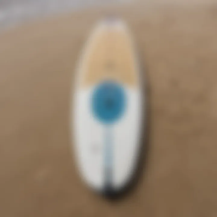 Close-up of a high-quality paddle and board set on a sandy beach