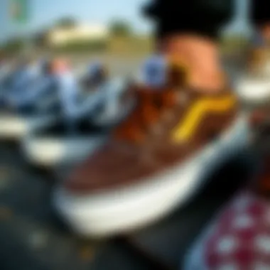 Diverse Skate Shoe Styles for Performance A stylish array of skate shoes designed for optimal performance and aesthetics