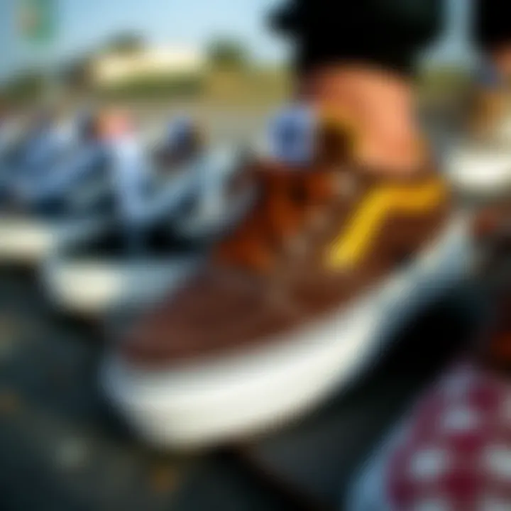 Diverse Skate Shoe Styles for Performance A stylish array of skate shoes designed for optimal performance and aesthetics