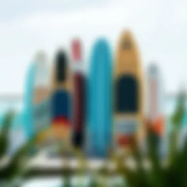 Overview of a selection of intermediate paddle boards showcasing various designs