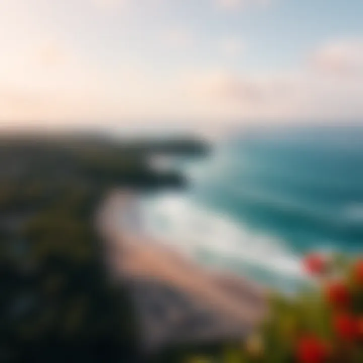 Aerial view of a serene Caribbean beach with surf potential