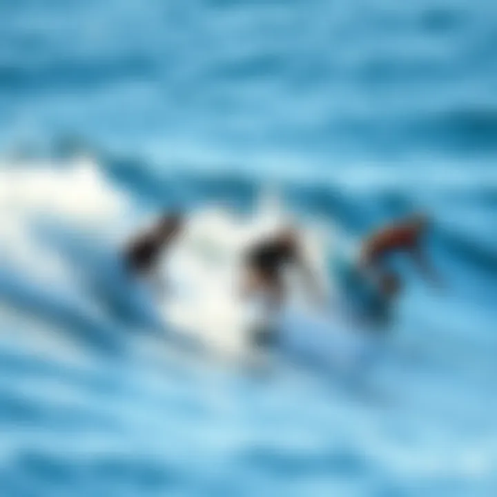 Surfers enjoying a wave while being aware of shark tracking