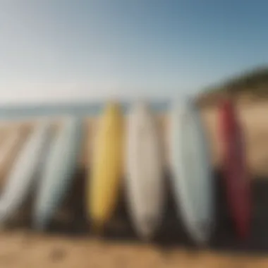 Surfboards lined up on the sandy beach ready for use.