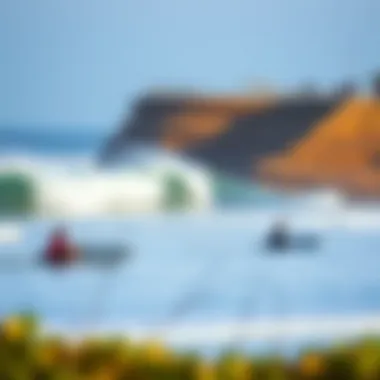 Environmental initiatives aimed at preserving Ventura Point's coastal ecosystem