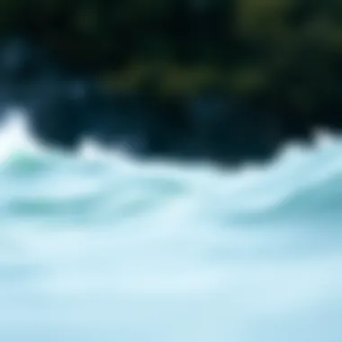 Sustainable materials used in shark deterrent wetsuits