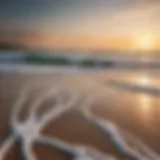 A tranquil beach at sunset with gentle waves lapping the shore