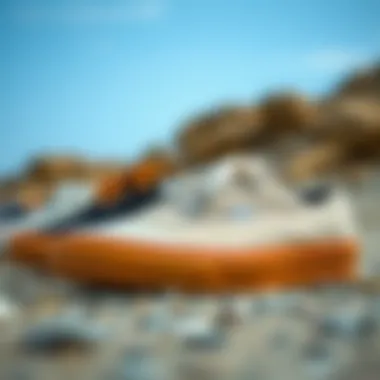 Variety of Gum Sole Skate Shoe Designs Comparison of different gum sole skate shoe designs and styles.