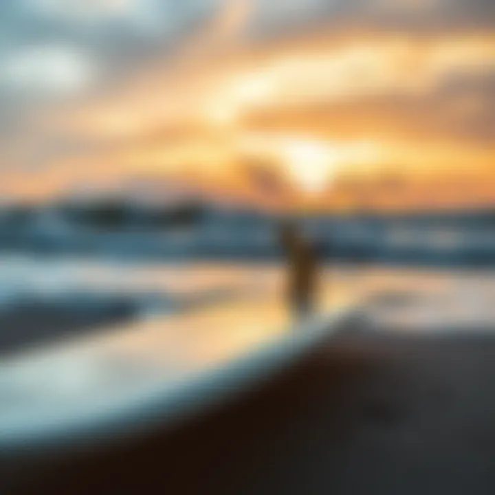 A soft longboard on the beach with a sunset backdrop illustrating its suitability for beginners
