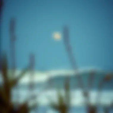 Cultural Interpretations of Lunar Cycles Cultural symbols representing moon beliefs