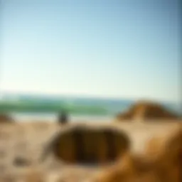 Durable longboard travel bag showcasing its protective features