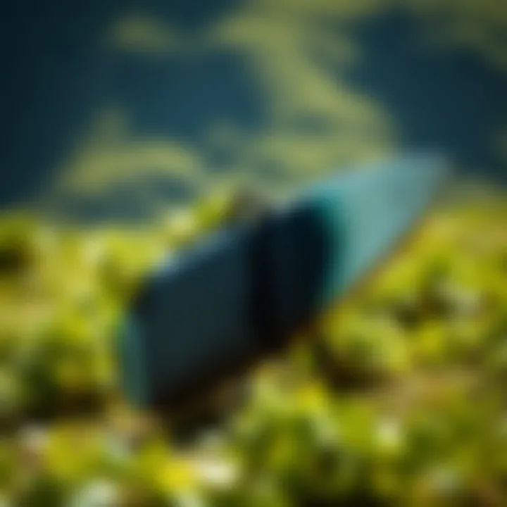 Environmental impact of longboard travel bags illustrated