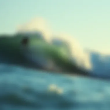 Environmental Factors Affecting Performance Environmental factors affecting zap skim performance on waves