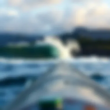 Understanding the Environmental Impact of the Pipeline The natural environment surrounding the Hawaiian Pipeline