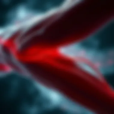 Visual representation of muscle fibers under stress