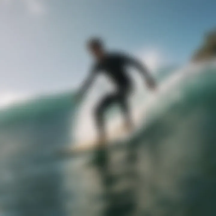 Eco-friendly surfing practices promoted by the app