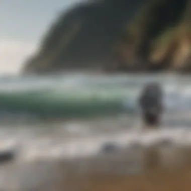 A picturesque beach scene showcasing surfers checking tide watches before hitting the waves.