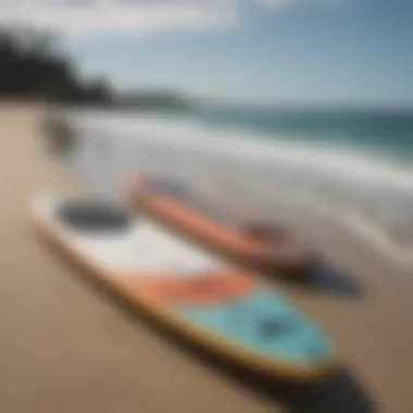 A comparison of traditional and self propelled paddle boards on the beach