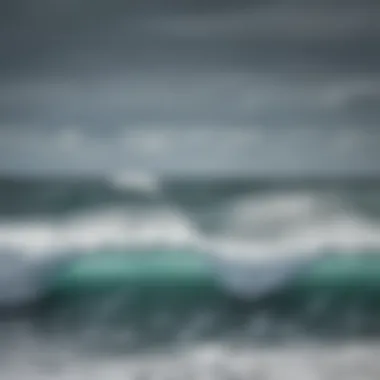 Graph showing wind patterns and surf conditions