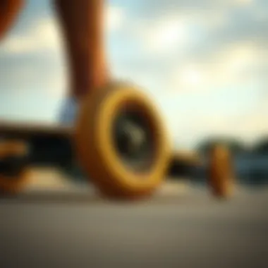 Maintenance tips for prolonging skateboard wheel lifespan