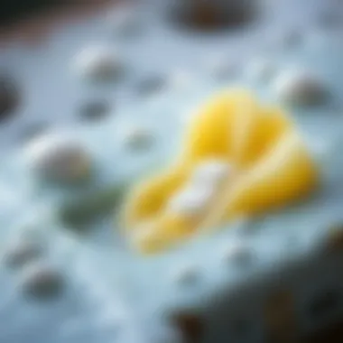 Diagram showing soap's cleaning action at a microscopic level