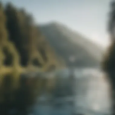 A diverse group of paddleboarders enjoying a sunny day on the lake