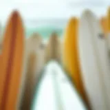 Longboard Length Comparison