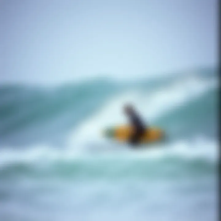 Longboard Performance Factors