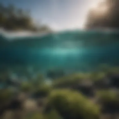 Aquatic Ecosystems and Pollution Visual representation of aquatic ecosystems affected by pollution