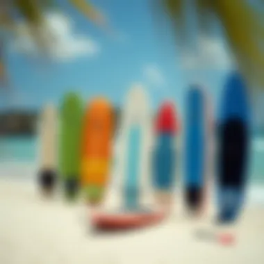 Exploring Paddle Board Varieties Diverse paddle board designs showcased on a beach