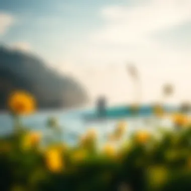 Nature's Role in Paddle Boarding A serene landscape view enhancing the paddle boarding experience